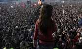 15098671.jpg