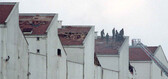 birsen10.jpg