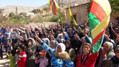roj-revo-main.jpg