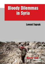 bloodydilemmasinsyria.png